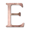 🩷