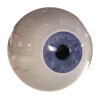 👁
