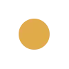 🔶