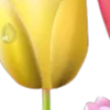 😀