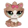 🐱