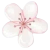 🌸