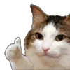 👍