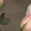 🤩