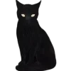 🐈‍⬛