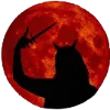 🌚