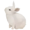 🐰