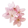 🌸