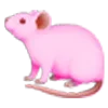 🐀