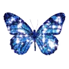 🦋