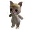 🐱