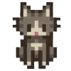 🐱