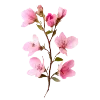 🌸
