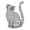 🐈‍⬛️