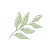 🌿