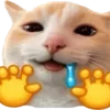 🐈