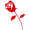 🌹