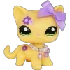 🐱