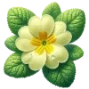🌼