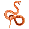 🐍