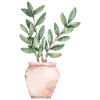 🌿