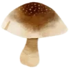 🍄
