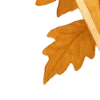 🍁
