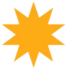 🌟