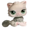 🐈