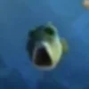 🐟