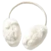🎧