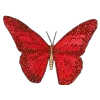 🦋