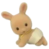 🐰