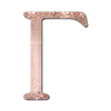 🩷