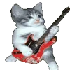 🐱