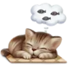 🐈