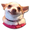 🙂