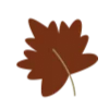 🍁