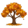 🍁