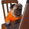 👨‍💻
