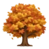 🍁