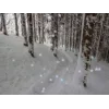 ❄️