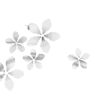 🌸