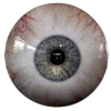 👁