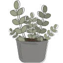 🌱
