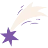 🌟