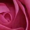 🤩