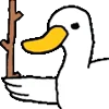🦆