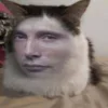 🐱