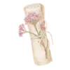 📜